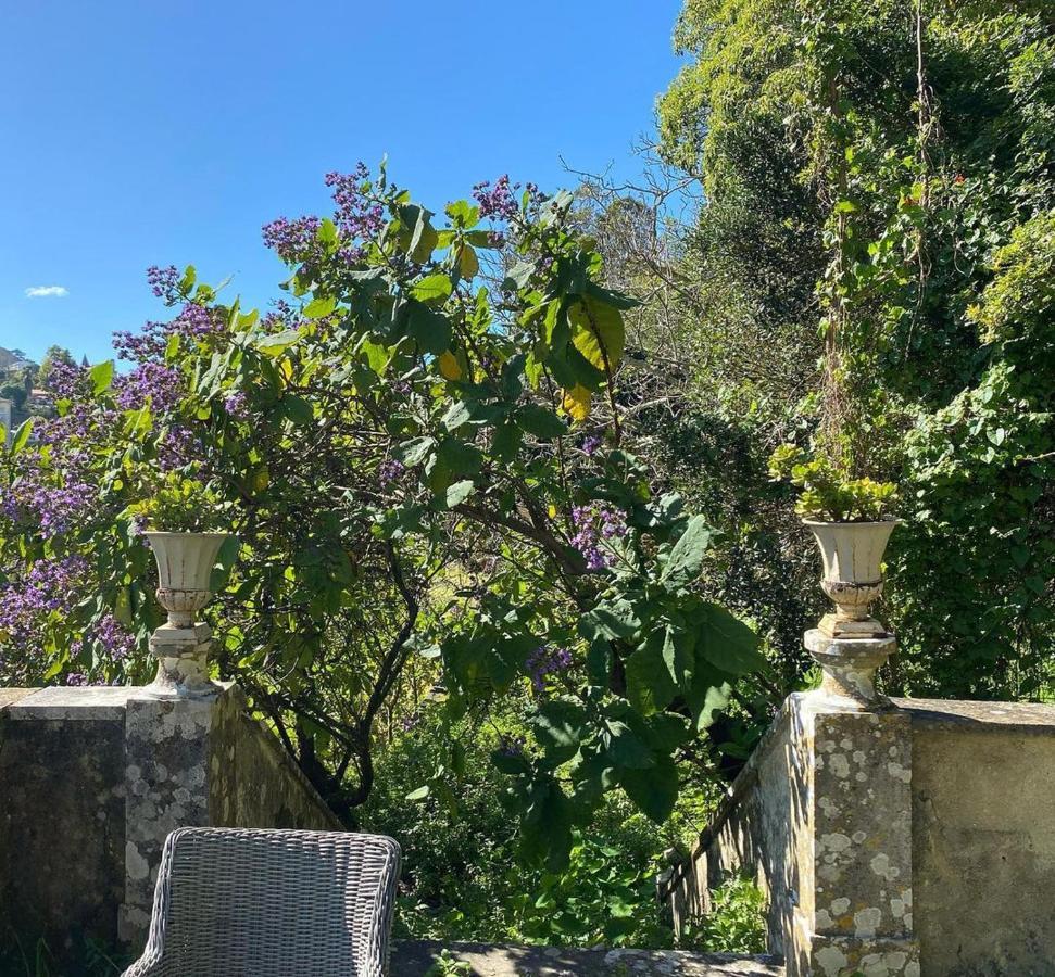 Casa Holstein Quinta De Sao Sebastiao Sintra Hotel Luaran gambar