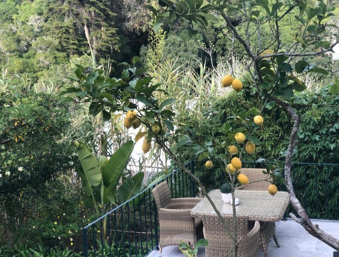 Casa Holstein Quinta De Sao Sebastiao Sintra Hotel Luaran gambar