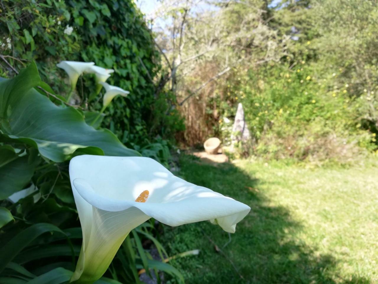 Casa Holstein Quinta De Sao Sebastiao Sintra Hotel Luaran gambar
